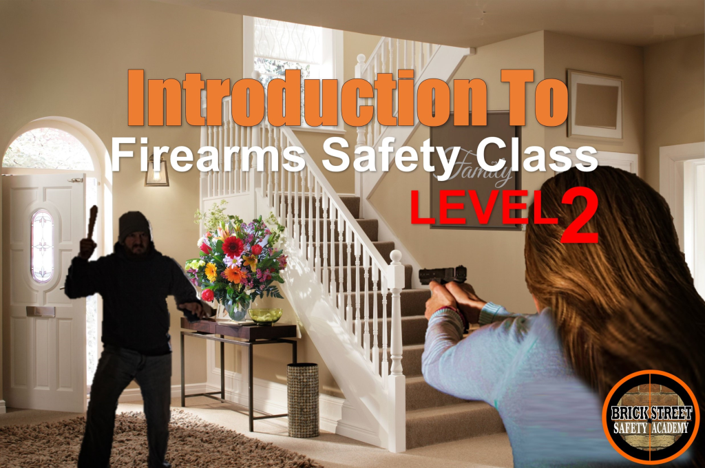 BSSA Introduction To Firearms Safety Class Level Two (INTRO 2) - Brick ...