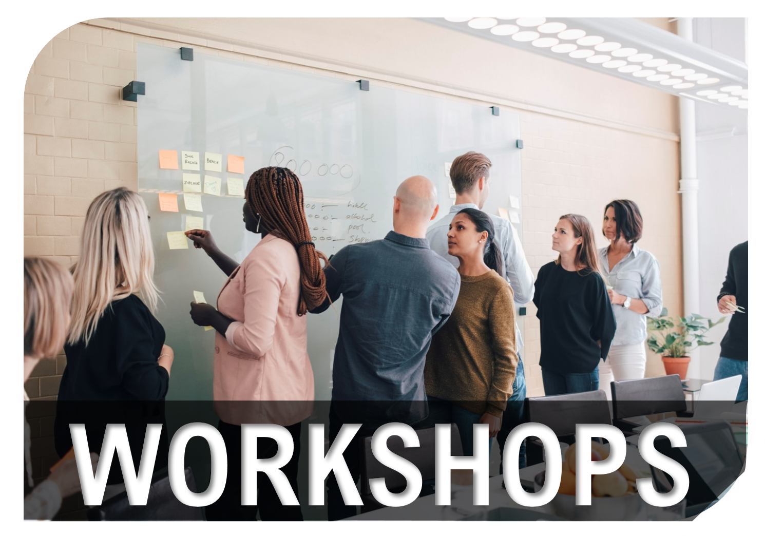 Looking For  A Challenge?